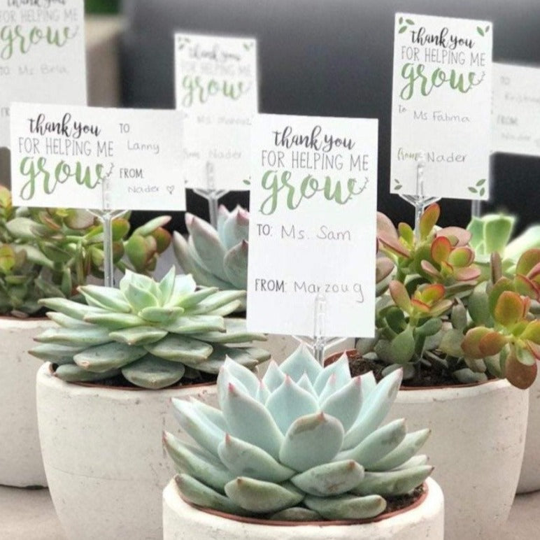 succulent favor tags Thank You For Helping Me Grow