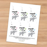 Congrats On Your Big Arrival (Elephant) - Print At Home Gift Tags