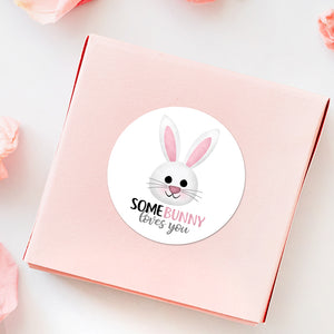 Some Bunny Loves You - Stickers