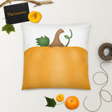 Pumpkin (Close-up) - Pillow