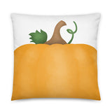 Pumpkin (Close-up) - Pillow