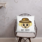 Hay There (Scarecrow) - Pillow