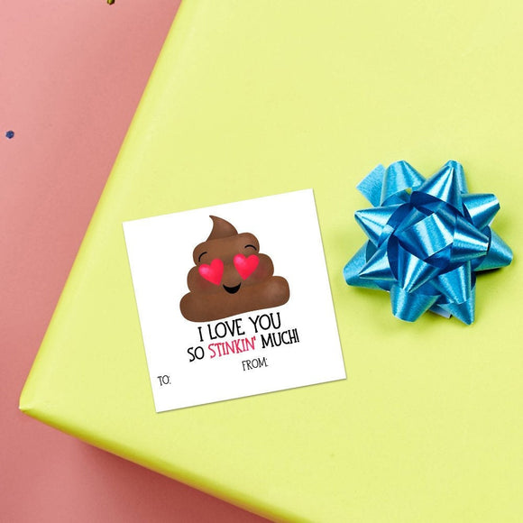 I Love You So Stinkin' Much (Gift Tag) - Stickers
